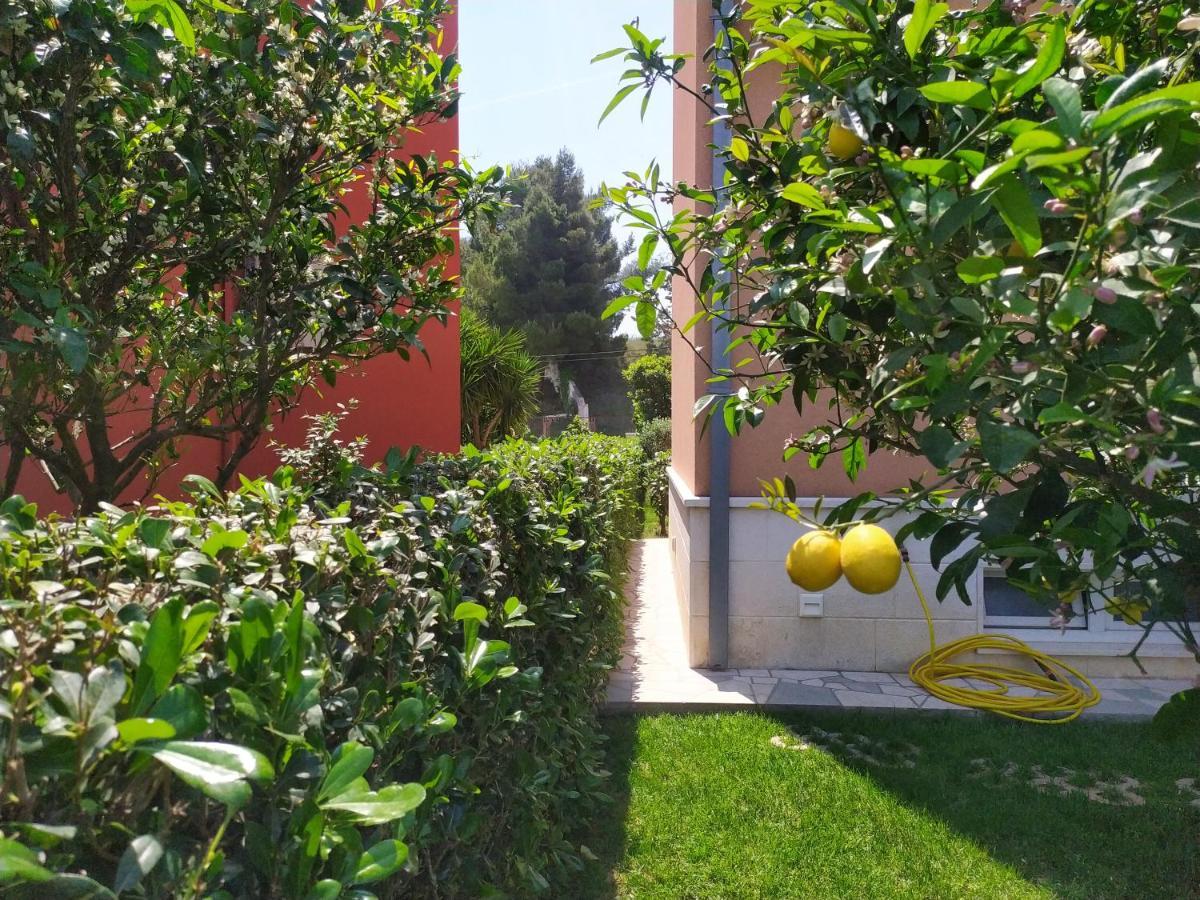 Apartmani Skejic Split Exterior foto